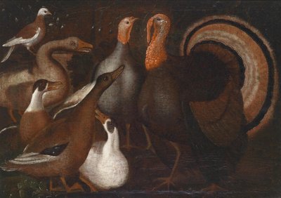 Putti, Ducks, and a Dove by Unbekannt Unbekannt